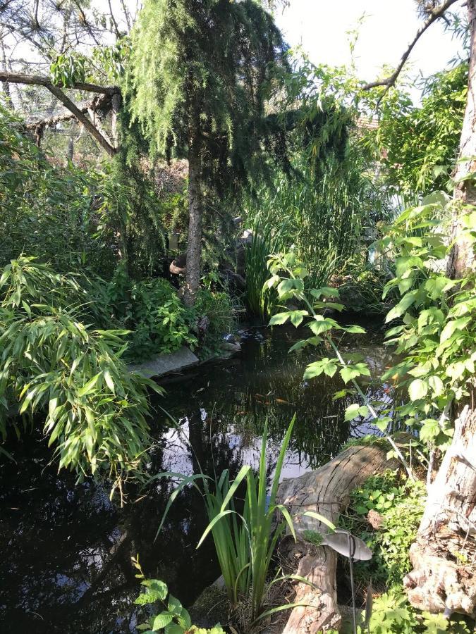 Wohnen Im Eulengarten Oranienburg Esterno foto
