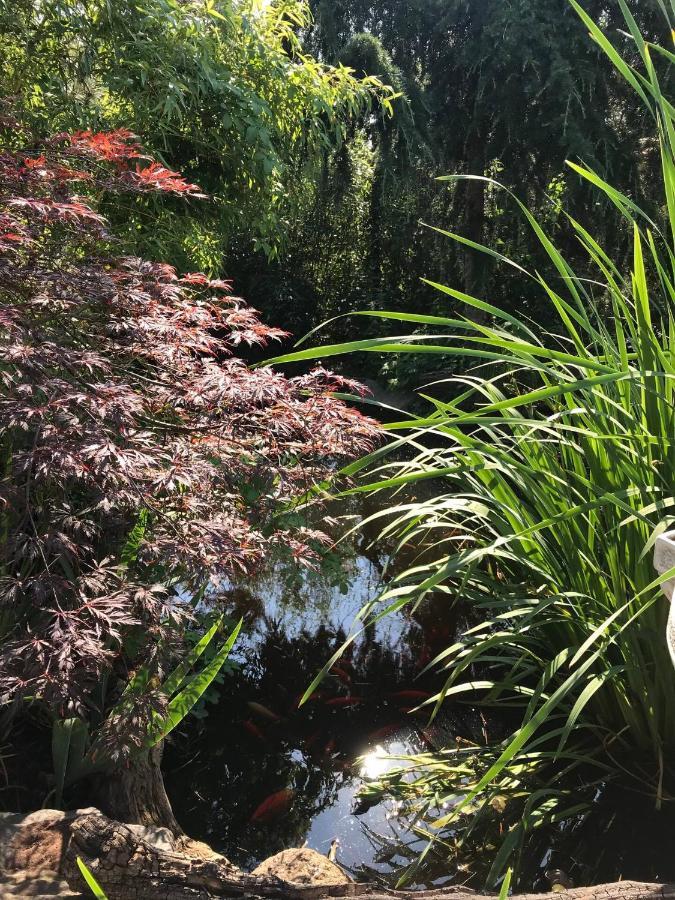 Wohnen Im Eulengarten Oranienburg Esterno foto